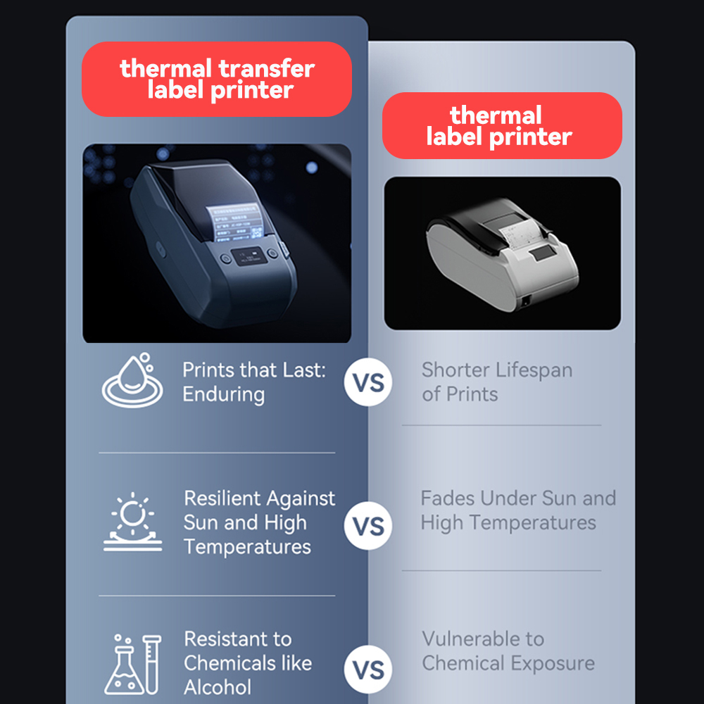 Niimbot M2 Thermal Transfer La - đánh giá và giá Commercial Printing Dpi